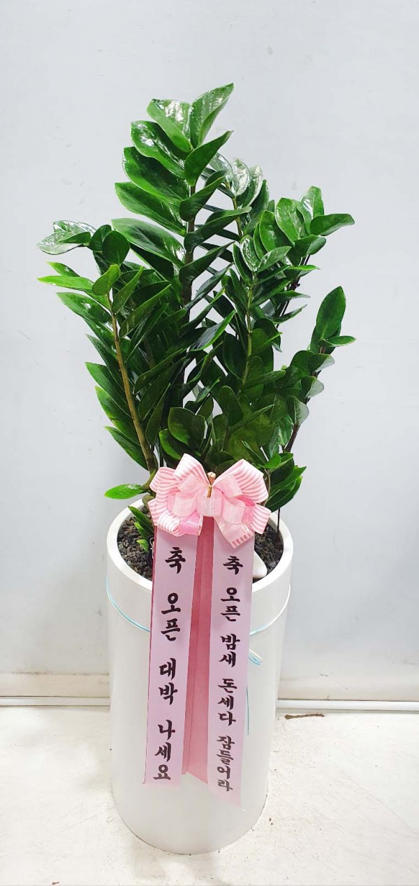 업로드 이미지