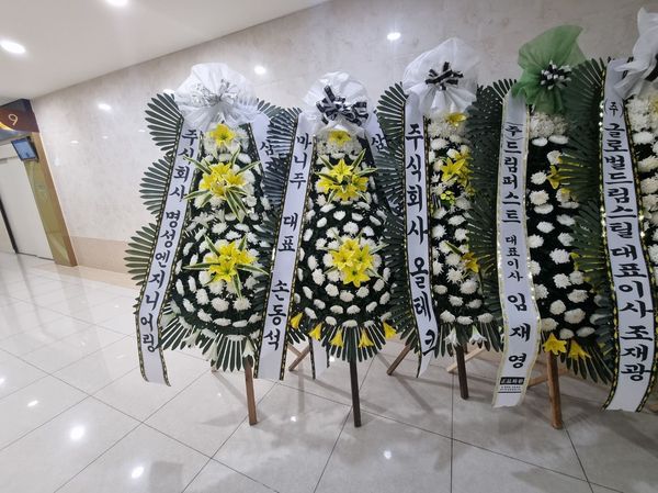 업로드 이미지