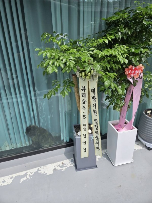 업로드 이미지