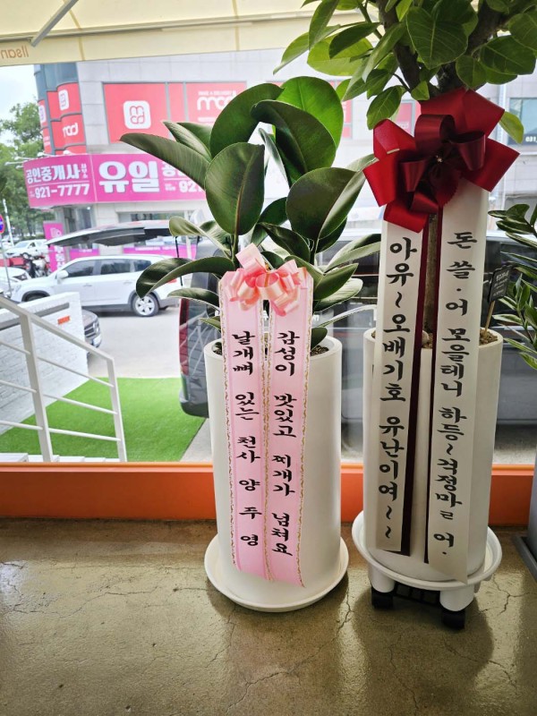 업로드 이미지
