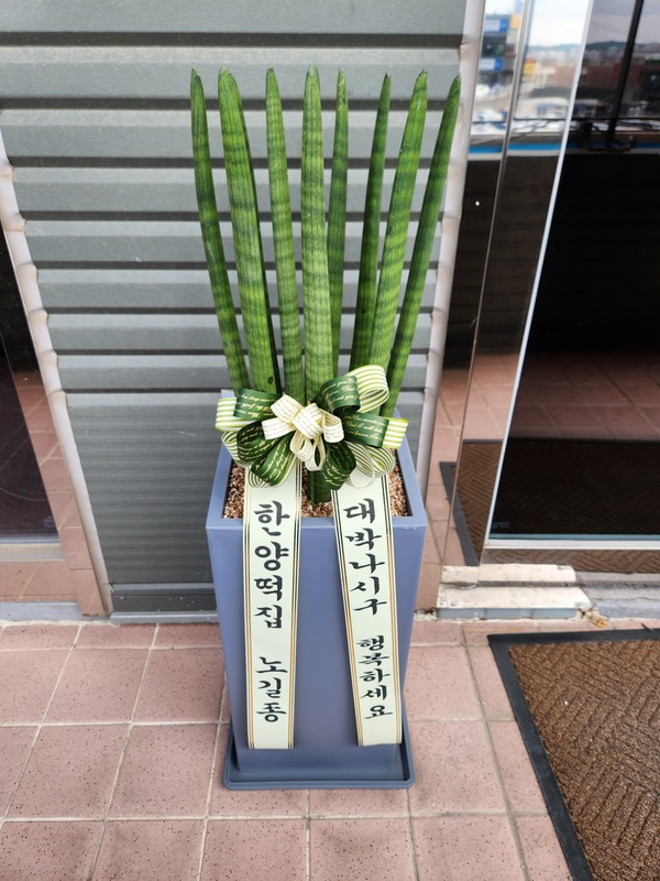 업로드 이미지
