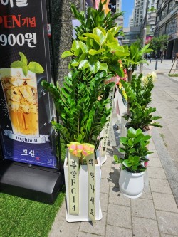 배송사진