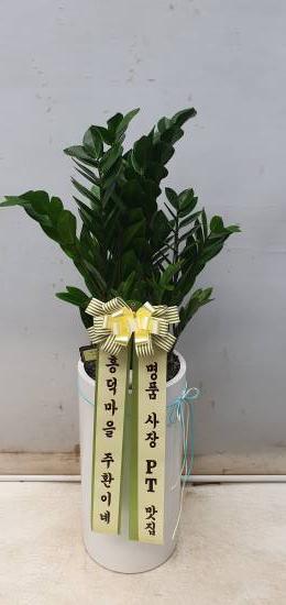 업로드 이미지