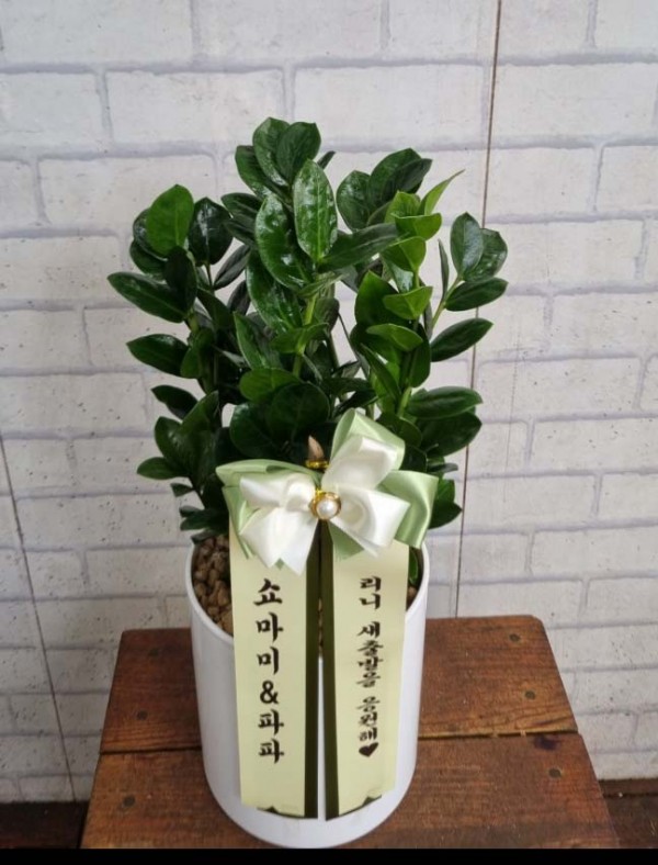 업로드 이미지