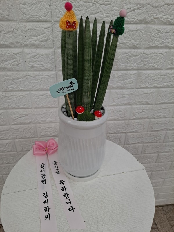 업로드 이미지