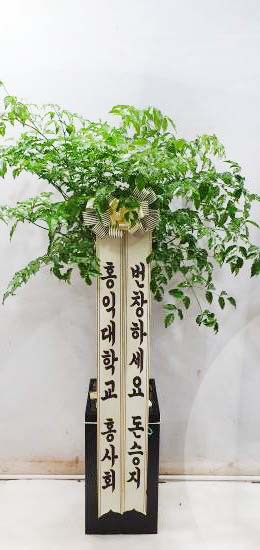 업로드 이미지