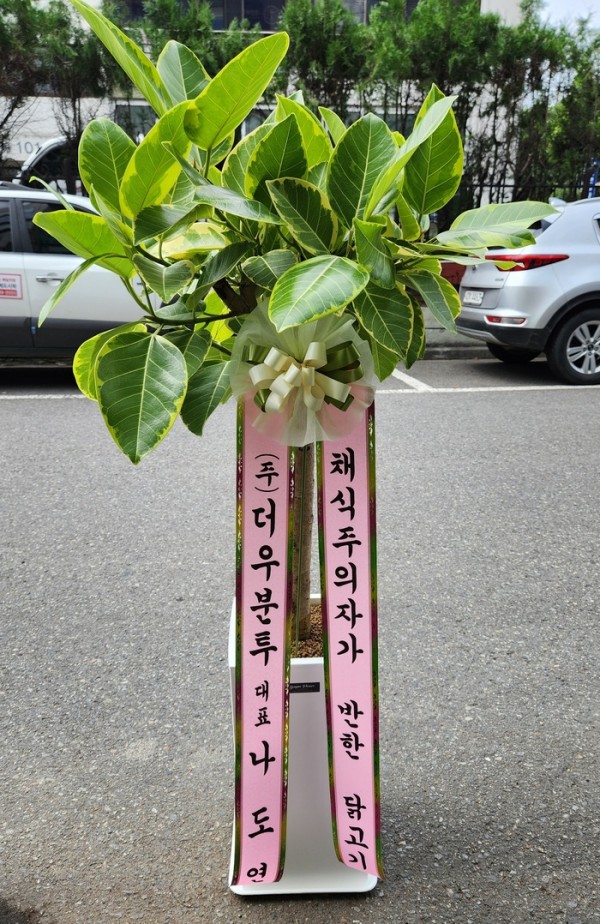 업로드 이미지