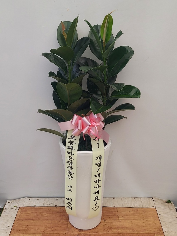 업로드 이미지