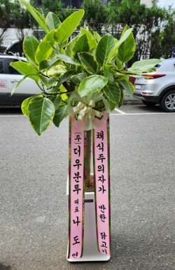 배송사진
