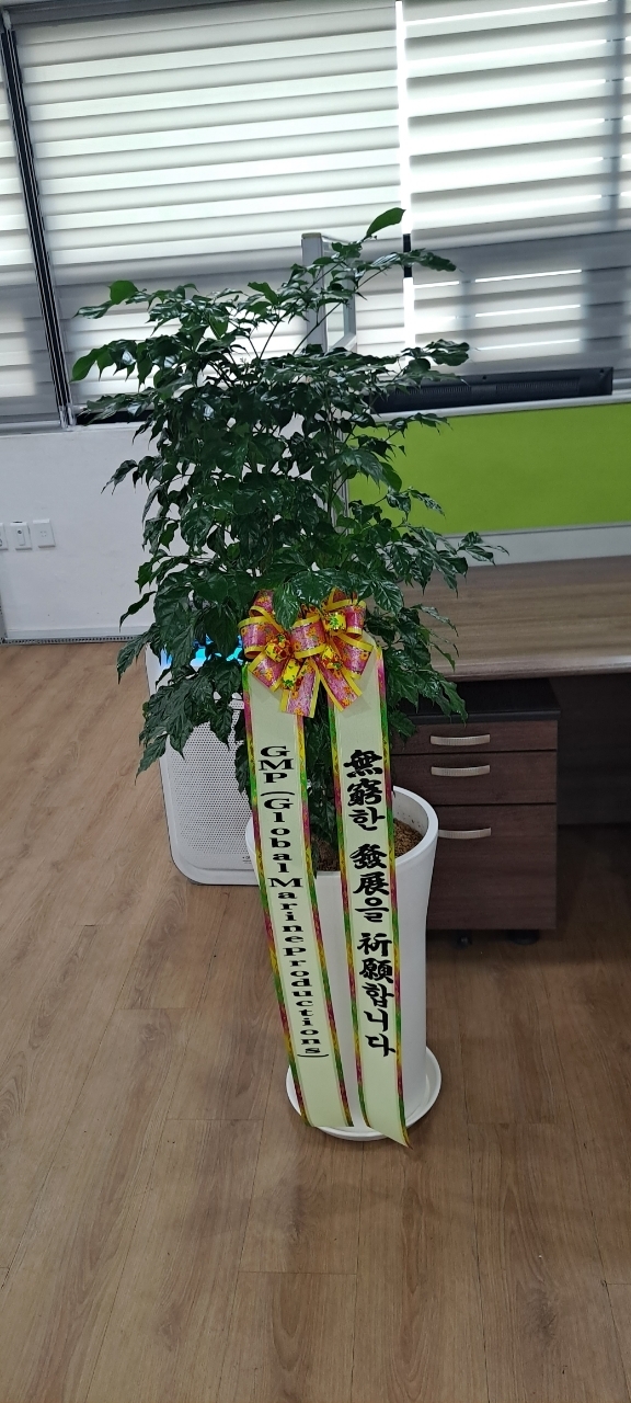 업로드 이미지
