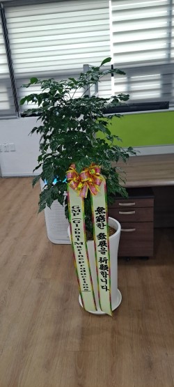 배송사진