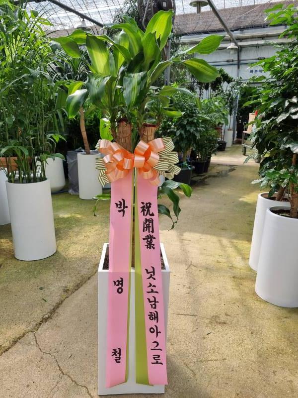 업로드 이미지