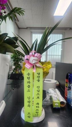 배송사진