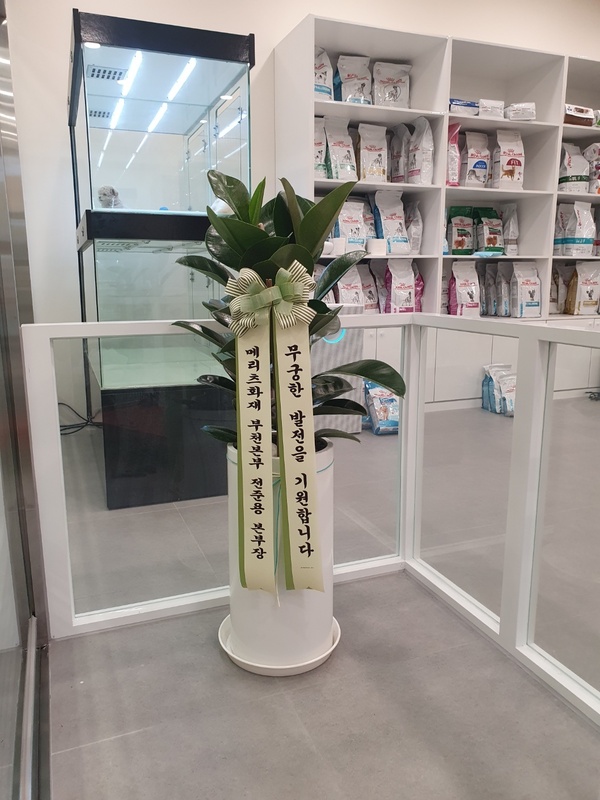 업로드 이미지