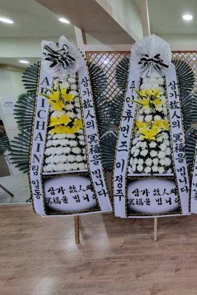 업로드 이미지