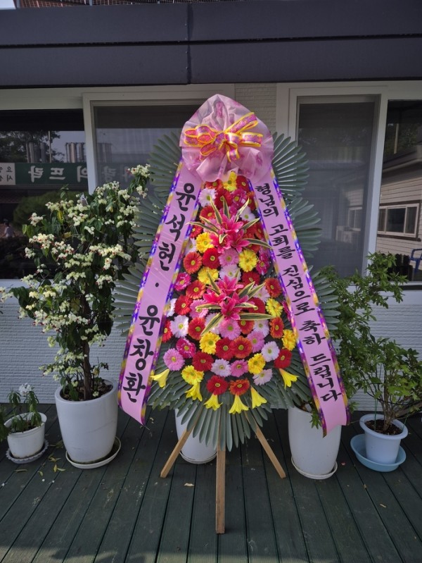 업로드 이미지