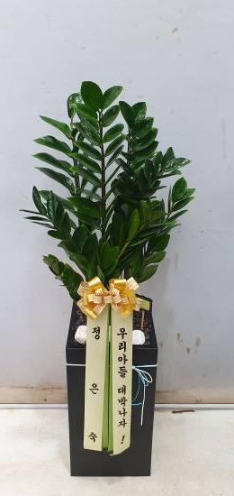업로드 이미지