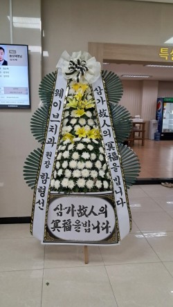 배송사진