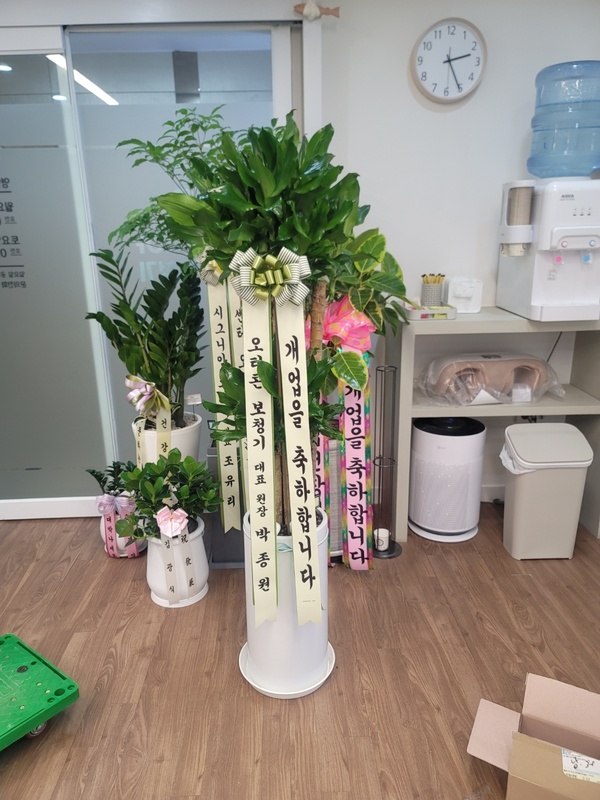 업로드 이미지