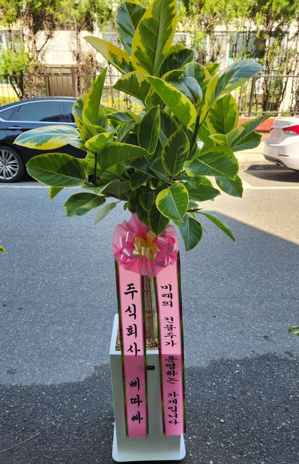 업로드 이미지