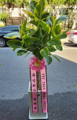 배송사진