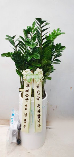 업로드 이미지