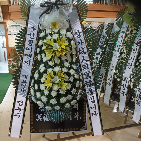 업로드 이미지