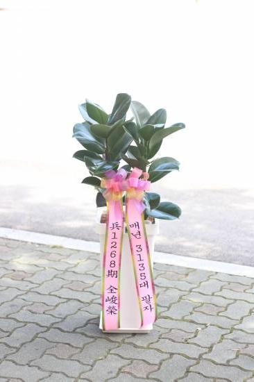 업로드 이미지