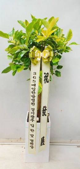 업로드 이미지