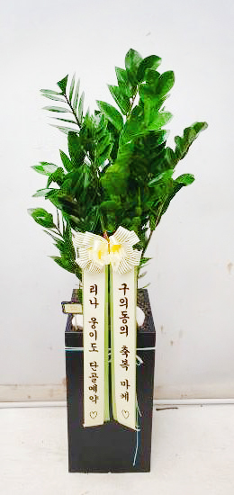 업로드 이미지