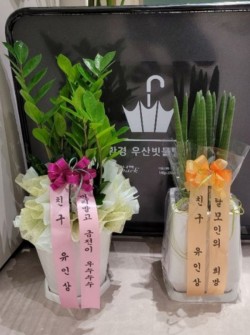 배송사진