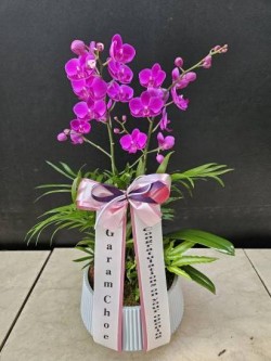 배송사진