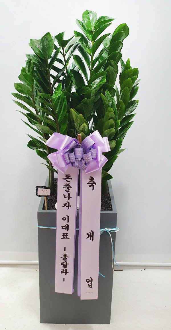 업로드 이미지