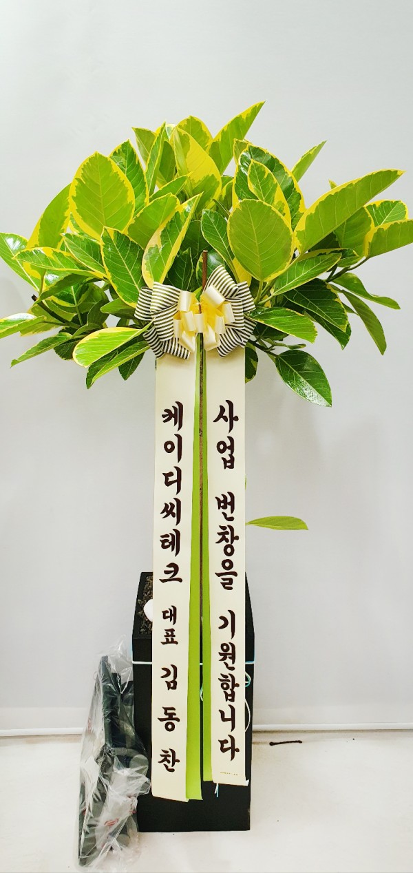 업로드 이미지