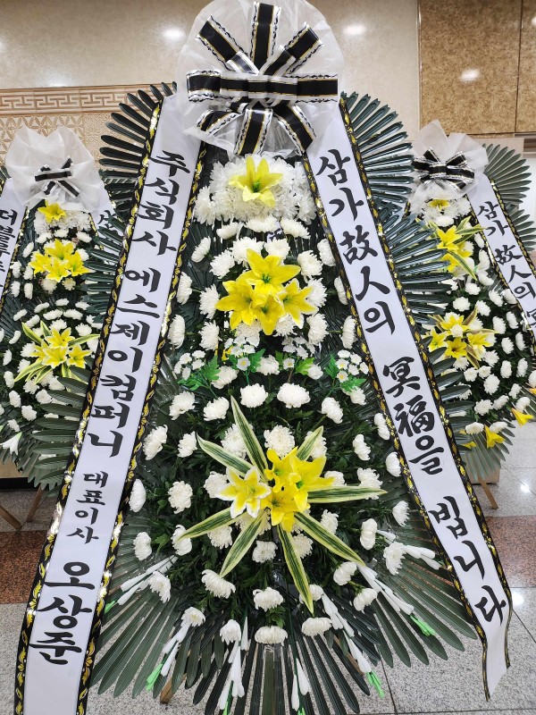 업로드 이미지