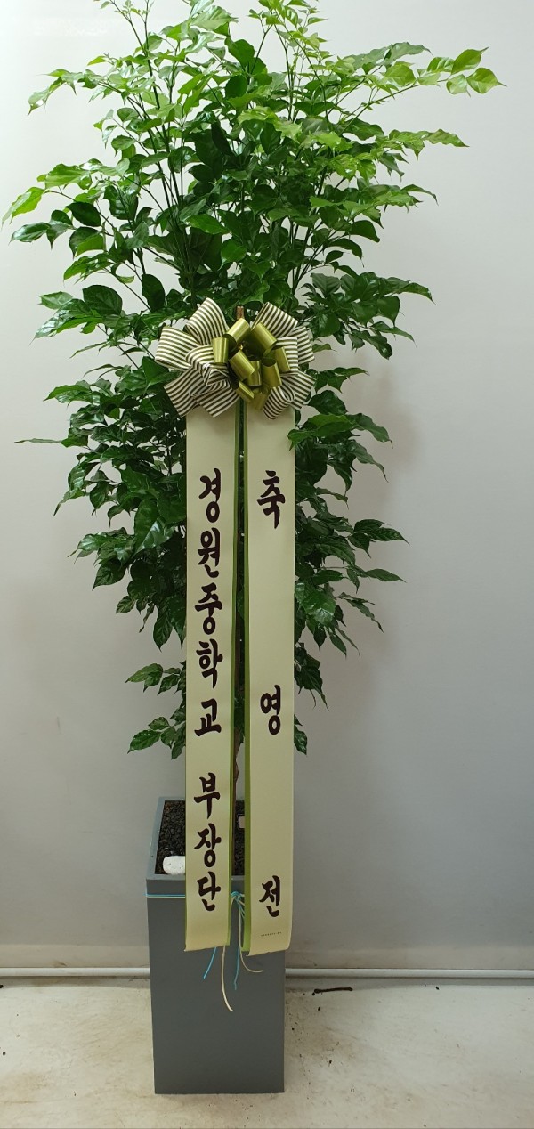업로드 이미지