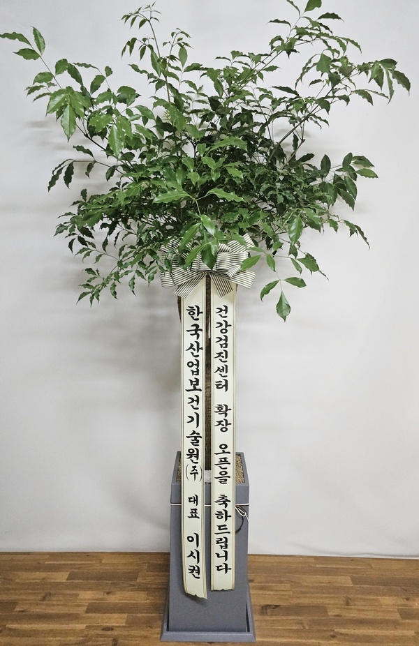 업로드 이미지