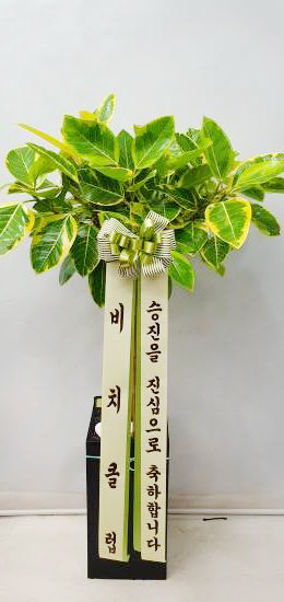 업로드 이미지