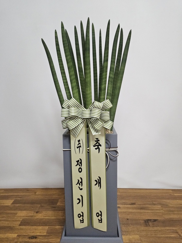 업로드 이미지