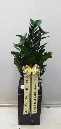 업로드 이미지