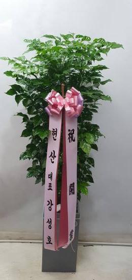 업로드 이미지