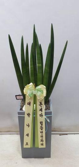 업로드 이미지