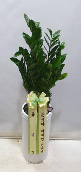 업로드 이미지