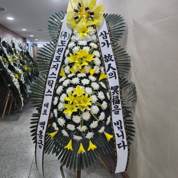업로드 이미지