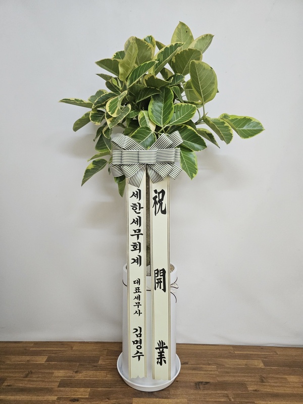 업로드 이미지