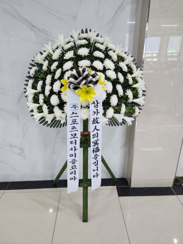 업로드 이미지