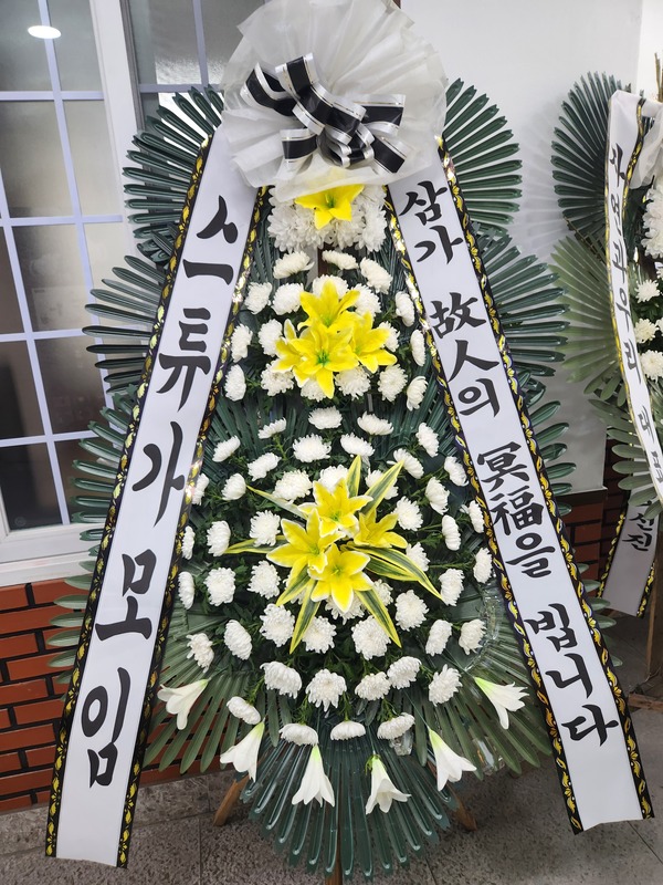 업로드 이미지