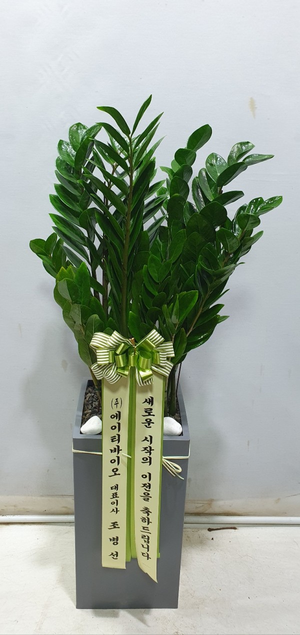 업로드 이미지