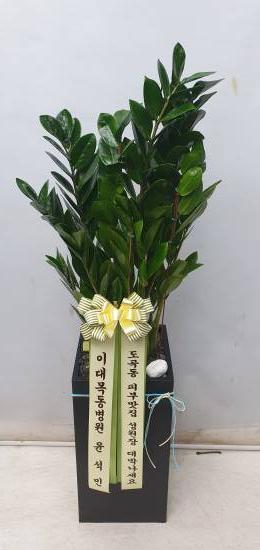 업로드 이미지