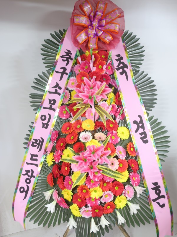 업로드 이미지